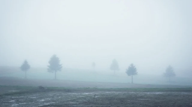 梅雨と梅雨を味方にする|いつ・なぜ・どう過ごす?【梅雨入り/明け・地域差・服装・アウトドア準備・秋雨まで】