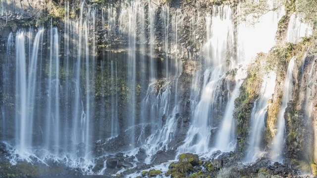 東京から車でたったの120分|源頼朝も感動した絶景「白糸ノ滝」へ日帰りで森林浴