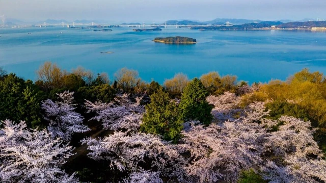 王子が岳で絶景ハイキング。ボルダリングやパラグライダーなど様々なアクティビティも楽しめます!