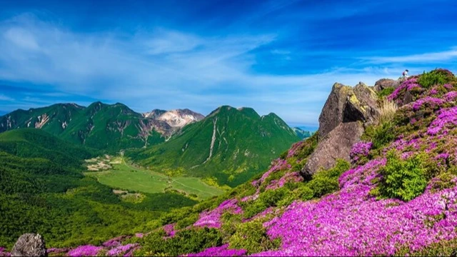 【九州各地の森林9選】あなたの家からアクセスしやすいスポットはどこ?