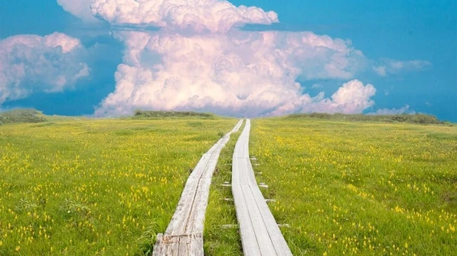 日本の国立公園【最新版】34公園の全体像|世界自然遺産との関係もやさしく解説