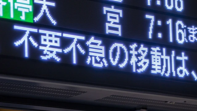 インフルが流行る季節でも、人混みはこわい。そんな人のための「静かな森林浴」という選択肢