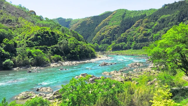 【2026年四国・中国の桜名所5選】人混みを気にしないお花見のおすすめ名所!