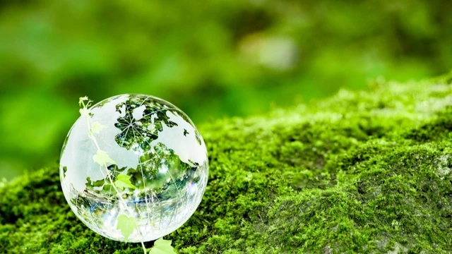 都会のストレスに効く「森林浴」とは?──質の落ちた日光環境から心と体を守る自然の健康法