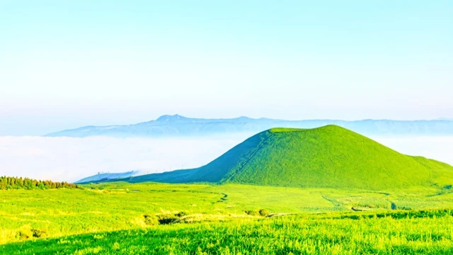 【九州にある『森林浴の森100選』】気軽にアクセスできる近場の森14か所はどこ?