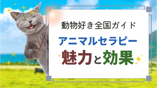 【動物好き必見】「アニマルセラピー」をはじめよう!自然と動物で癒やされる初心者向けガイド