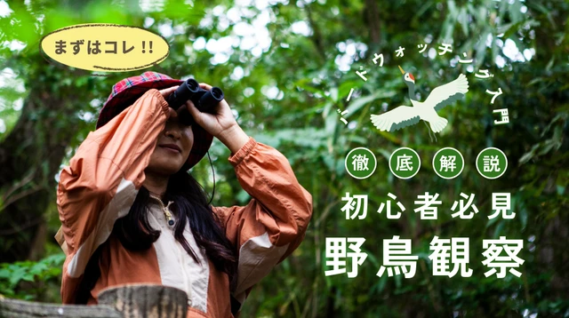 【初心者必見】バードウォッチング入門|森で野鳥観察を楽しむ方法を徹底解説