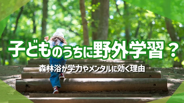 森林浴が子どもの学力とメンタルに効く理由|教育熱心な親が知っておきたい自然時間の効果
