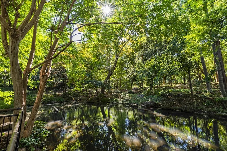 7 林試の森公園