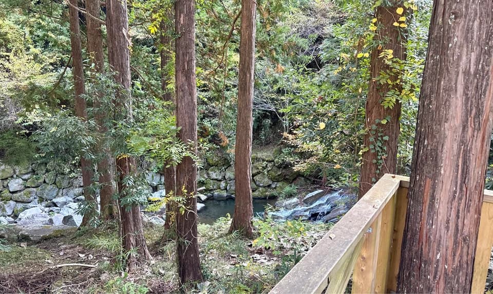 川遊び　丸太の森　キャンプ場