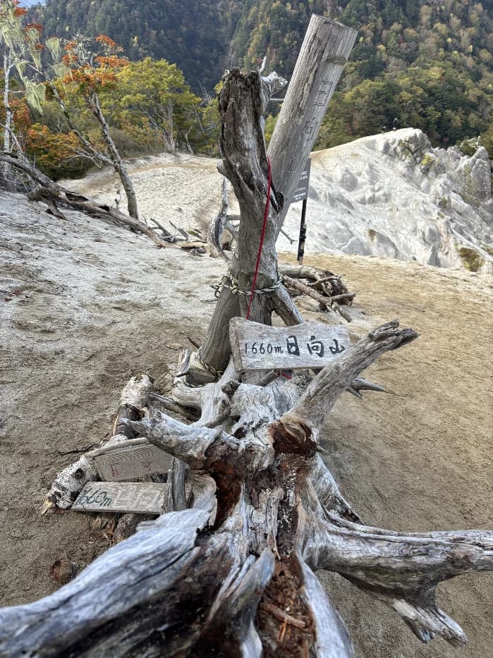 あかの投稿画像