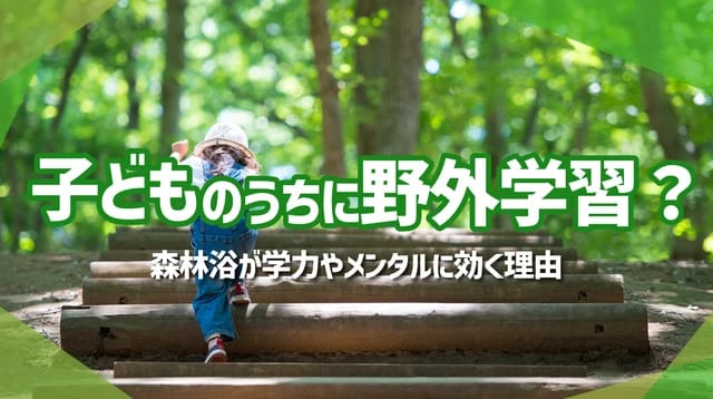 森林浴が子どもの学力とメンタルに効く理由｜教育熱心な親が知っておきたい自然時間の効果