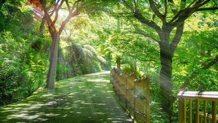 Cover Image for 【関東の『森林浴の森100選』】都内・首都圏からアクセスしやすい森16カ所