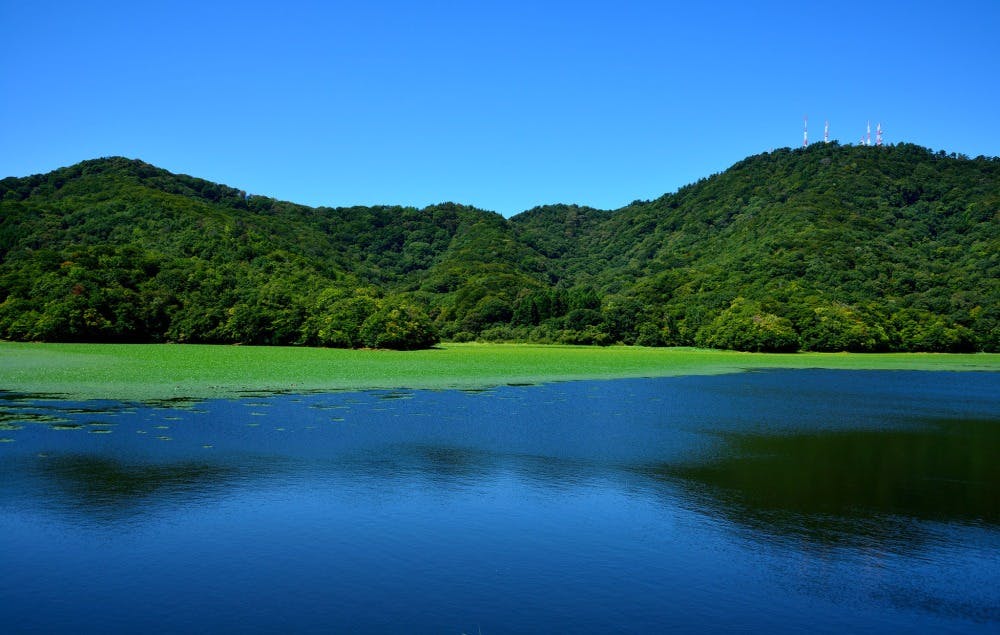 高館山自然休養林 