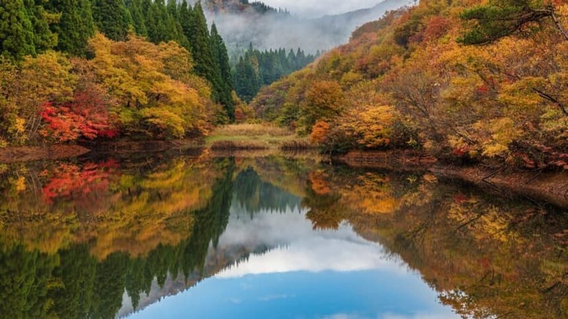 「池」と「沼」と「湖」の違いわかる?説明できるとかっこいい知識をご紹介! 日本全国の森林ポータルならもりくる