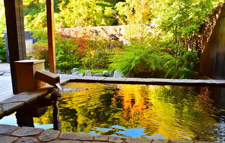 Cover Image for 温泉大国で「温泉ハイキング」｜温泉の効き目、森林浴との相乗効果を解説