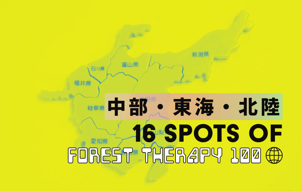 【中部・東海・北陸の『森林浴の森100選』】アクセスしやすい森16カ所をご紹介
