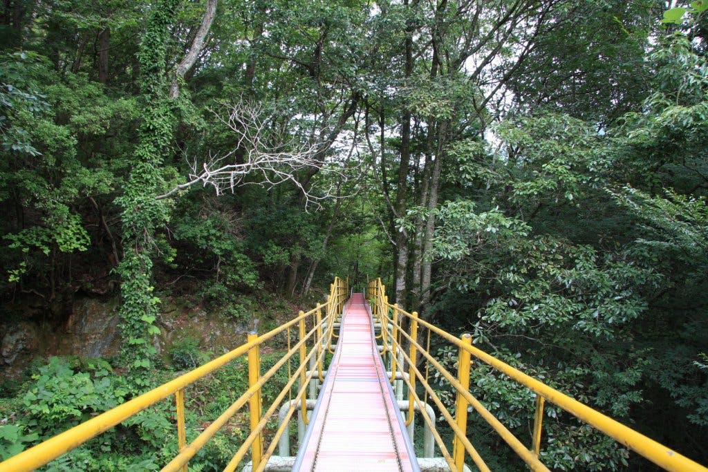 竜沢寺緑地公園