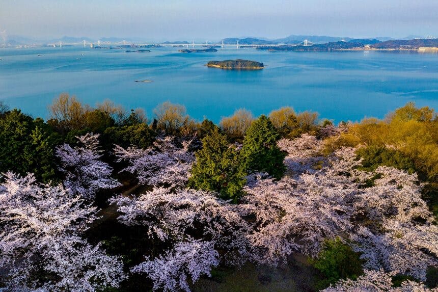 Cover Image for 王子が岳（岡山県）からの絶景を一度は眺めたい。ボルダリングやパラグライダーなど様々なアクティビティも楽しめます！【瀬戸内海国立公園】