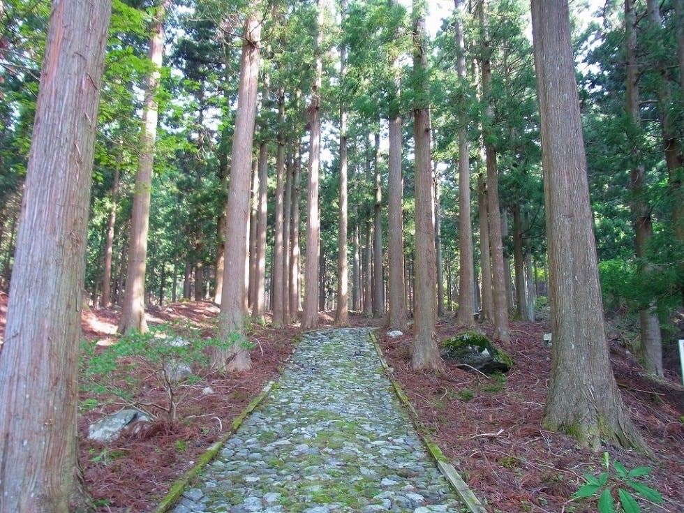 15 西丹沢神奈川県県民の森