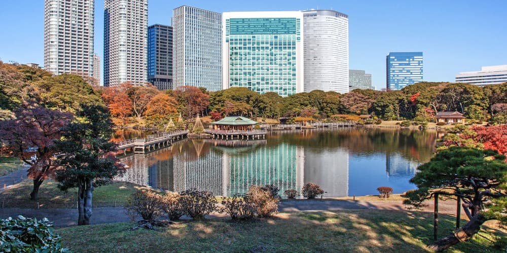 【決着】東京ドーム何個分って何??大きさを公園と比較してみた 地球は何個分? 日本全国の森林ポータルならもりくる
