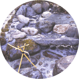 休憩とお茶を楽しむ