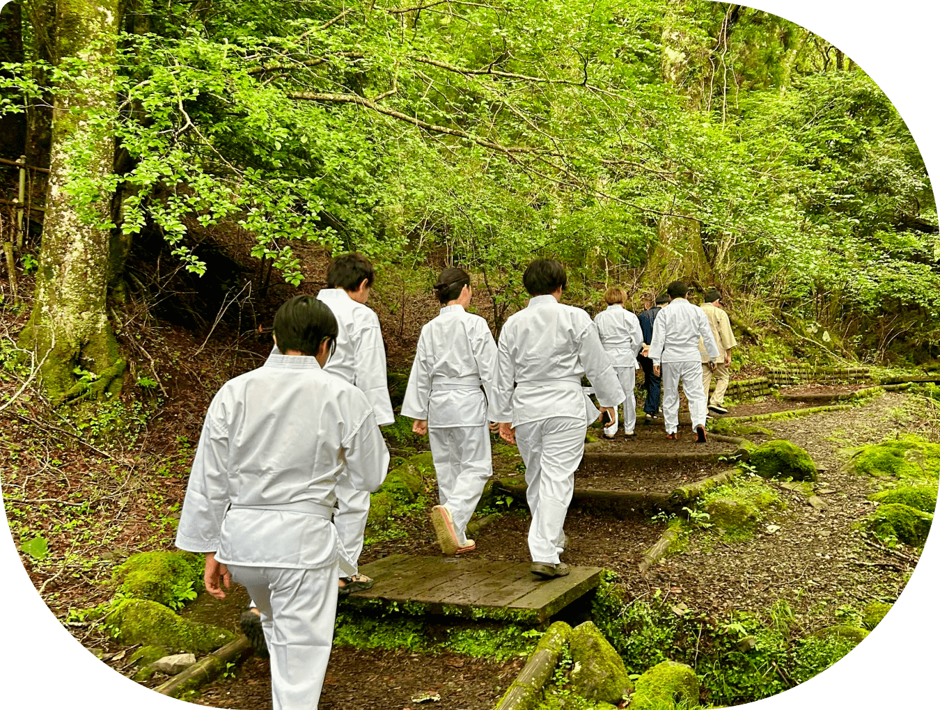 道着を着て滝に向かう写真